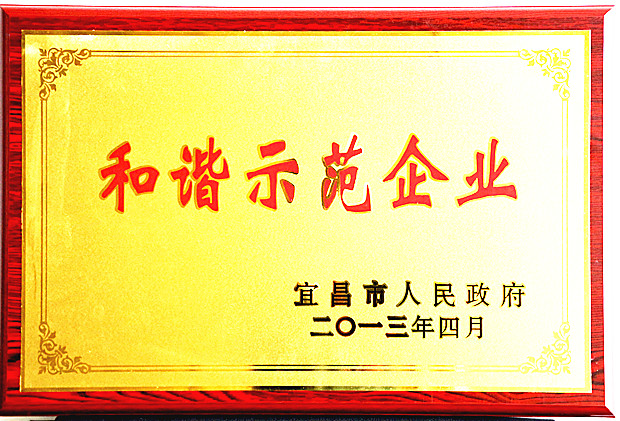 201591895051683