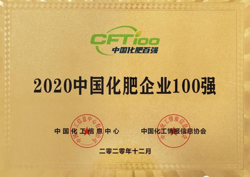 20201231101351167